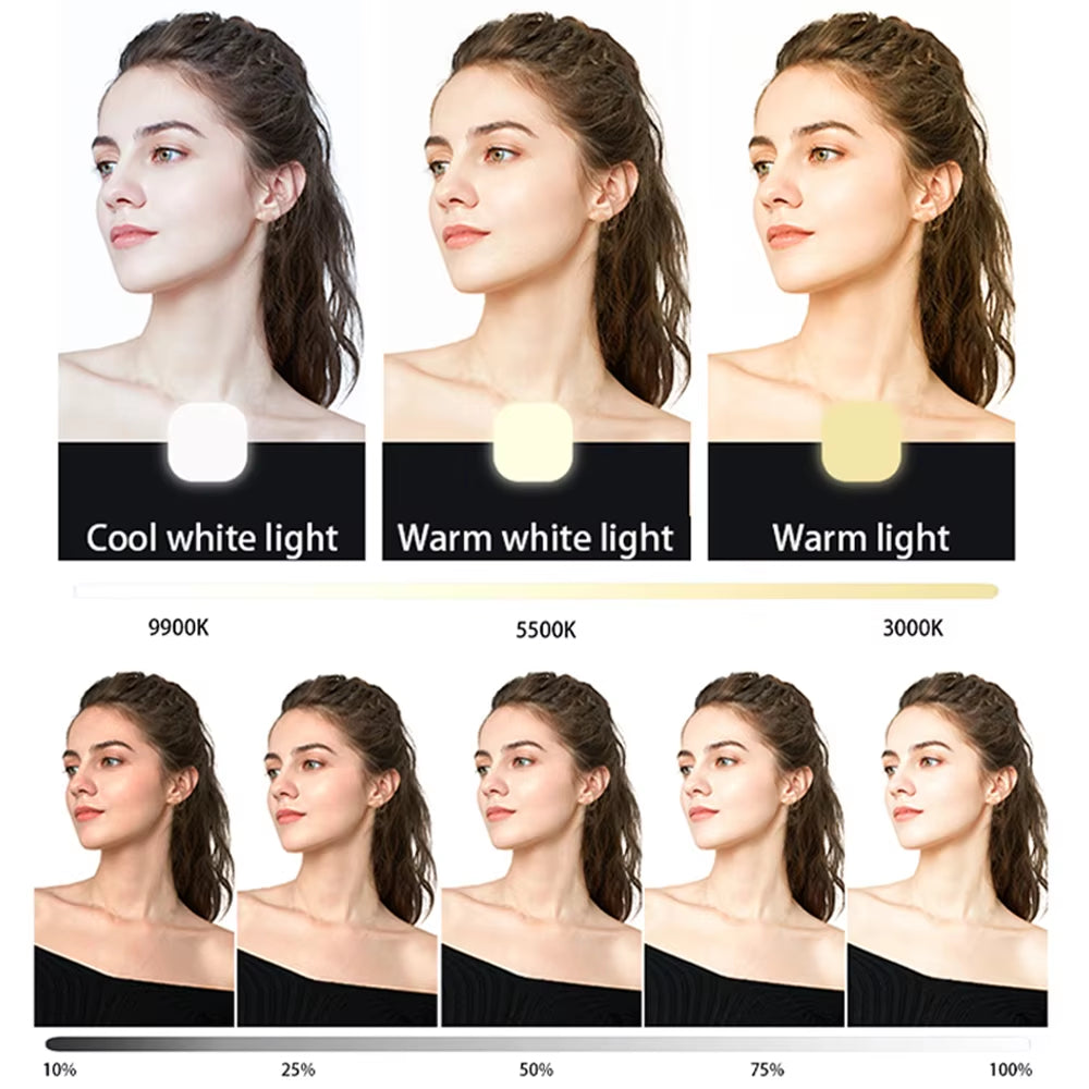 Smartphone Selfie Light Selfie Video Conference Light Portable LED Light Compatible for Cell Phone Ipad Laptop Camera